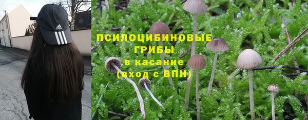 Альфа ПВП Нефтегорск