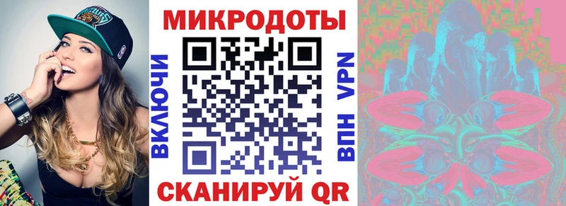 Псилоцибиновые грибы Psilocybine cubensis  Колпашево 